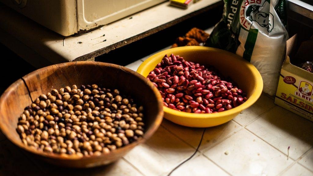 Fríjol en Úmbita, Boyacá